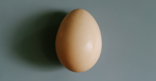 The Journey of an Egg Cell: The 90-Day Mitochondrial Protocol