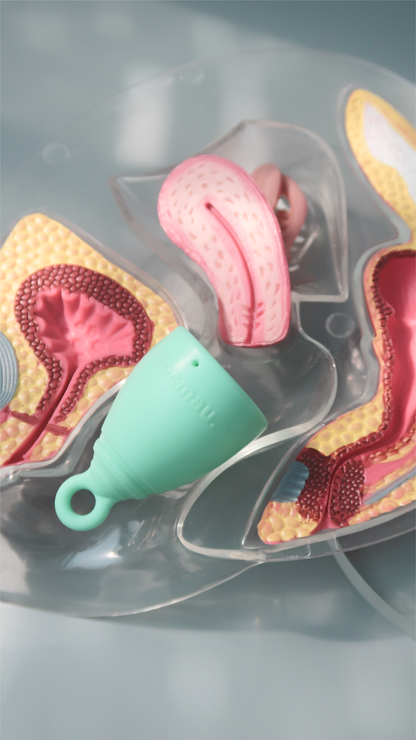Cocmau® Menstrual Cup — Built to Fit Asian Anatomy