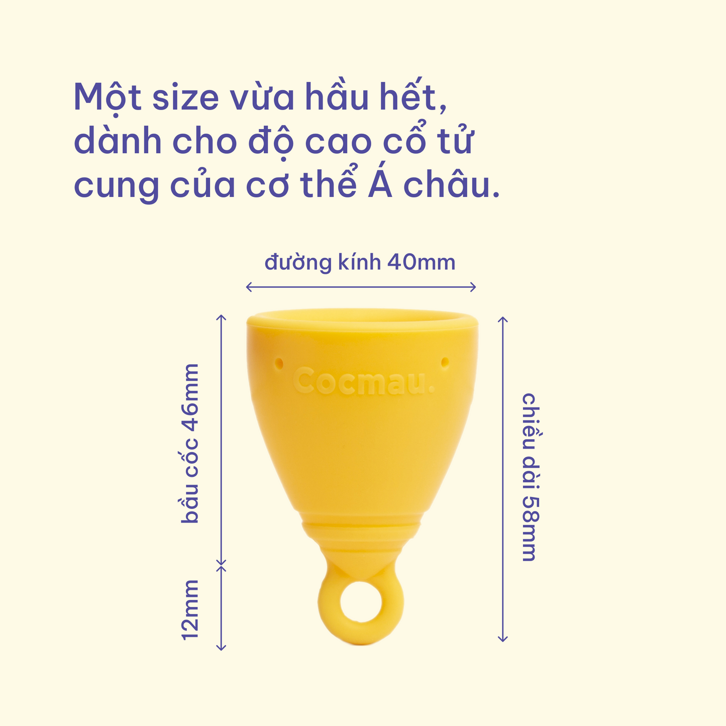 Menstrual Cup Starter Kit