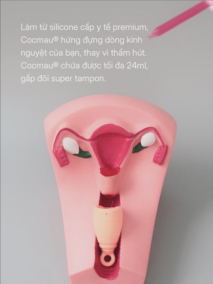 Cocmau® Menstrual Cup — Built to Fit Asian Anatomy